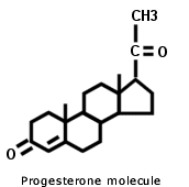 progesterone molecule progesterone molecule