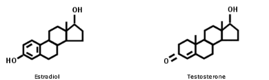 testosterone and estradiol